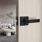 Craftsman Style Push Button Privacy Door Levers Modern Square Door Handle Knobs- DL01BK