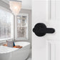 Contemporary Push Button Privacy Door Levers - DL03BK